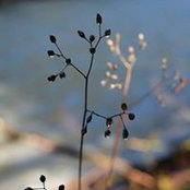 Kimberley Berger's photo
