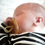 Mindy Shelley's photo