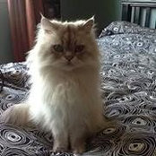 Shalyn Linklater's photo