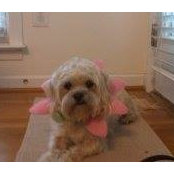 Sandra Rebert's photo