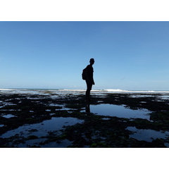 Bagas