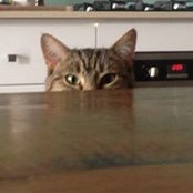 Iva Saskova's photo