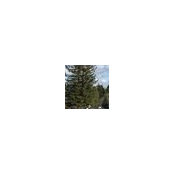 Joan Krueger's photo