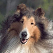 Frank Treviño's photo