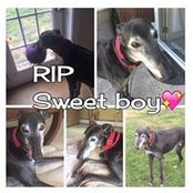Eliza Selan's photo