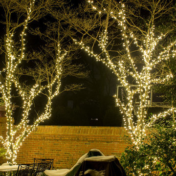 Outdoor string lights on patio in Nashville, TN