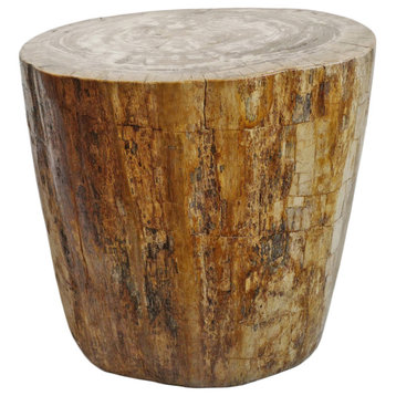 Petrified Stump Side Table