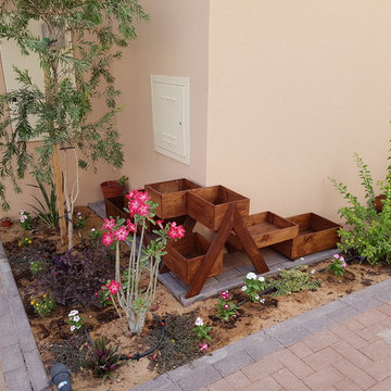 Front Yard Desert Garden and Main Entrance walkway flower beds