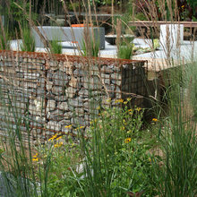 Pool and Patio