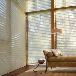 Solutions for Large Windows & Doors - Window Blinds