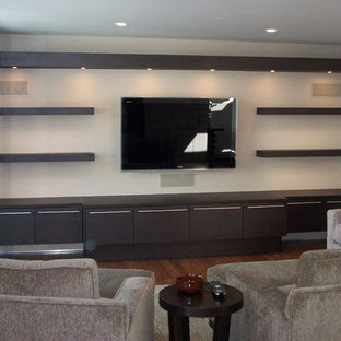 Design ideas for a contemporary home cinema in San Luis Obispo.