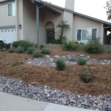 Rain Gardens