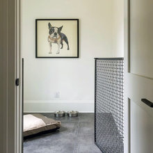 Dog Room
