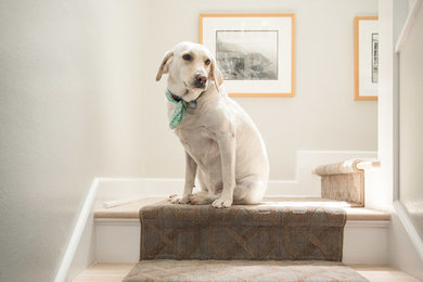 Example of a trendy staircase design in Austin