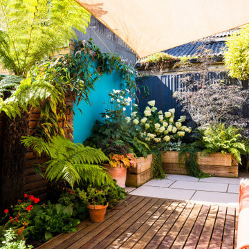 Mediterranean style garden in East London