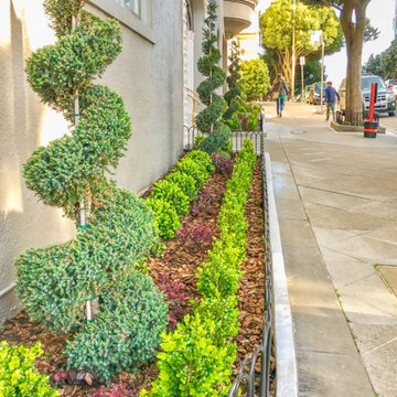Yard Care, Lawn Mowing, Weeding, Edging, Pest Control