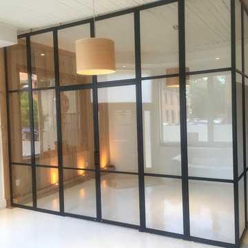 All Glass Walls & Doors in in Aluminum Frame