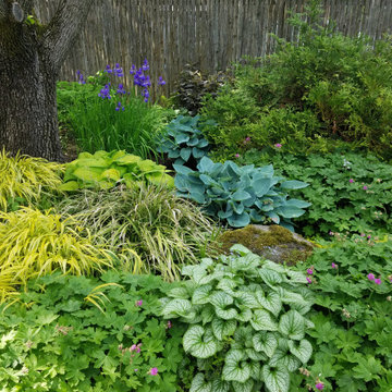 Small Urban Garden