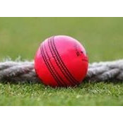 Foto de Classic Cricket
