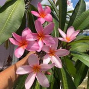 Judi Silvey's photo