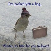 Debra Potts's photo