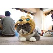 Steven Tsai's photo