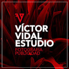 Víctor Vidal Estudio
