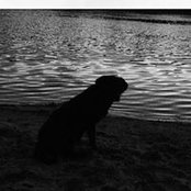 Maria O'Hickey's photo