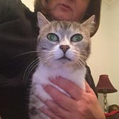 Heather Little's photo