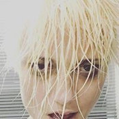 Leigh Anne Knight's photo