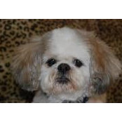 Debbie Grandits's photo