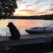 Amy Lloyd's photo
