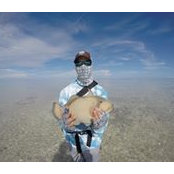 Kevin Yoshida's photo