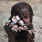 Irene Plourde-Pricop's photo
