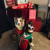 Cindy Robertson's photo