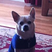 Maryellen Nilson's photo