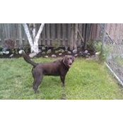 Sylvia Orsini's photo