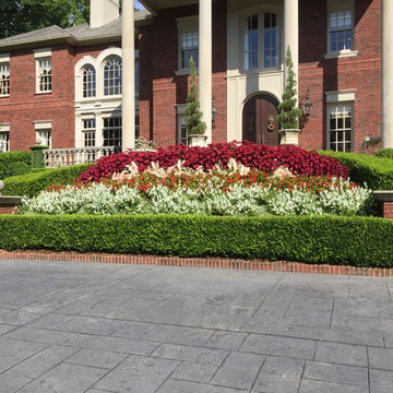Spring Flowers