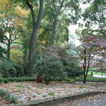 Landscape Design, Installation, and Maintenance
