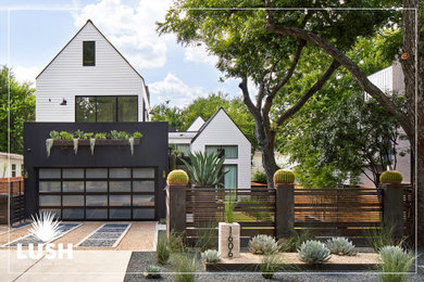 Photo of a contemporary drought-tolerant front yard landscaping in Austin.