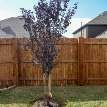 Flowering Trees & Shrubs