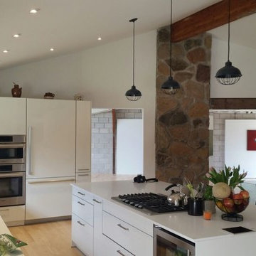 Caledon Mountain Home - Industrial Farmhouse