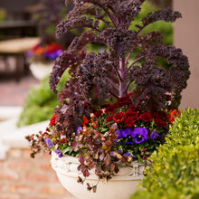 Landscaping & Gardening