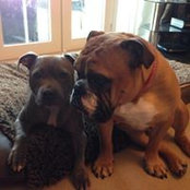 Ally Standerwick's photo