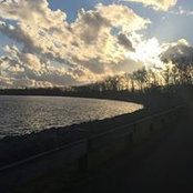 Debra Peterson's photo