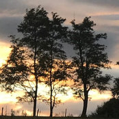 Diana Wilmott-Hatter's photo