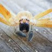 Charles Palmer's photo