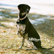 aubrey lachowsky's photo
