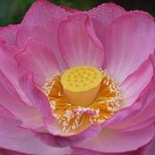 Foto von Jan Wishart