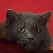 Nancy Trafton's photo